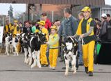Agro-Targi 2008 Czarnków