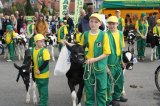 Foto: Wydział Promocji Starostwa Powiatowego w Czarnkowie