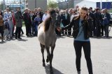Foto: Wydział Promocji Starostwa Powiatowego w Czarnkowie