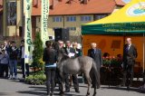 Foto: Wydział Promocji Starostwa Powiatowego w Czarnkowie