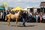 Foto: Wydział Promocji Starostwa Powiatowego w Czarnkowie