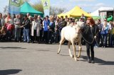 Foto: Wydział Promocji Starostwa Powiatowego w Czarnkowie