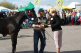 Foto: Wydział Promocji Starostwa Powiatowego w Czarnkowie