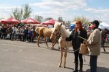 Foto: Wydział Promocji Starostwa Powiatowego w Czarnkowie