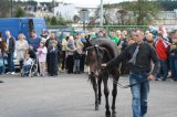 Foto: Wydział Promocji Starostwa Powiatowego w Czarnkowie
