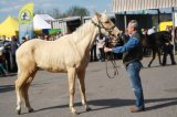 Foto: Wydział Promocji Starostwa Powiatowego w Czarnkowie