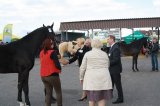 Foto: Wydział Promocji Starostwa Powiatowego w Czarnkowie