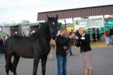 Foto: Wydział Promocji Starostwa Powiatowego w Czarnkowie