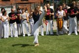 Capoeira z&nbsp;wikingami