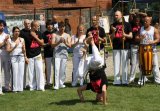 Capoeira z&nbsp;wikingami
