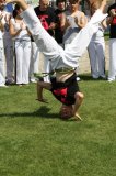 Capoeira z&nbsp;wikingami