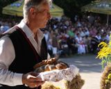 Czas dożynek rozpoczęty