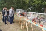 Czas żniwnego wiana