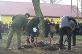 Dzień wolności, dniem jedności