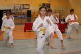 Gala sportu