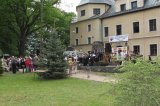 Goraj wabi nie tylko jelenie
