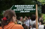 Goraj wabi nie tylko jelenie