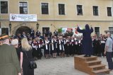 Goraj wabi nie tylko jelenie