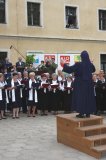 Goraj wabi nie tylko jelenie