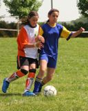 Gulcz Cup 2008
