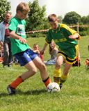 Gulcz Cup 2008