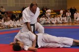 Karate po krzysku