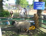 Targi Agroturystyczne Złotów 2008