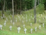 Orkiestra na Litwie