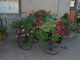 Kategoria zagroda wiejska: E.K.Robak gm. Czarnków