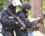 Policja niepełnosprawnym