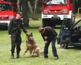Policja niepełnosprawnym