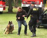 Policja niepełnosprawnym