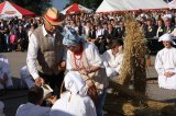 Powiatowe ˝Święto plonów˝