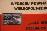 Powiat fetuje powstańców