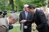 Prezydencki dąb