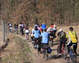 Rodzinnie na rowerach