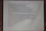 Sejmik dzieci i młodzieży