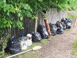Miałka czyściejsza, uczniowie zdrowsi