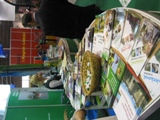 TOUR SALON 2008 – Podróż dookoła świata!