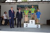 Triatlon, reaktywacja