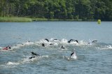 Triatlon, reaktywacja