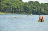 Triatlon, reaktywacja
