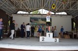 Triatlon, reaktywacja