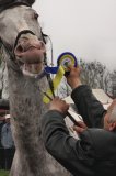 Targi pod znakiem deszczu