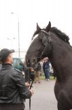 Targi pod znakiem deszczu