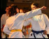 Udany rok sportu