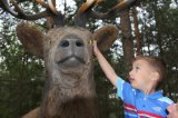 W Drawsku wyrosły grzyby wielkości człowieka