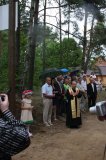 W Drawsku wyrosły grzyby wielkości człowieka