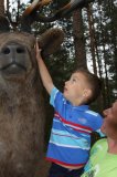 W Drawsku wyrosły grzyby wielkości człowieka