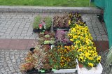 AgroTargi 2016 już za nami